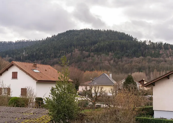 Charmant Appartement Vosgien Centre Saint Die, Proche Montagnes