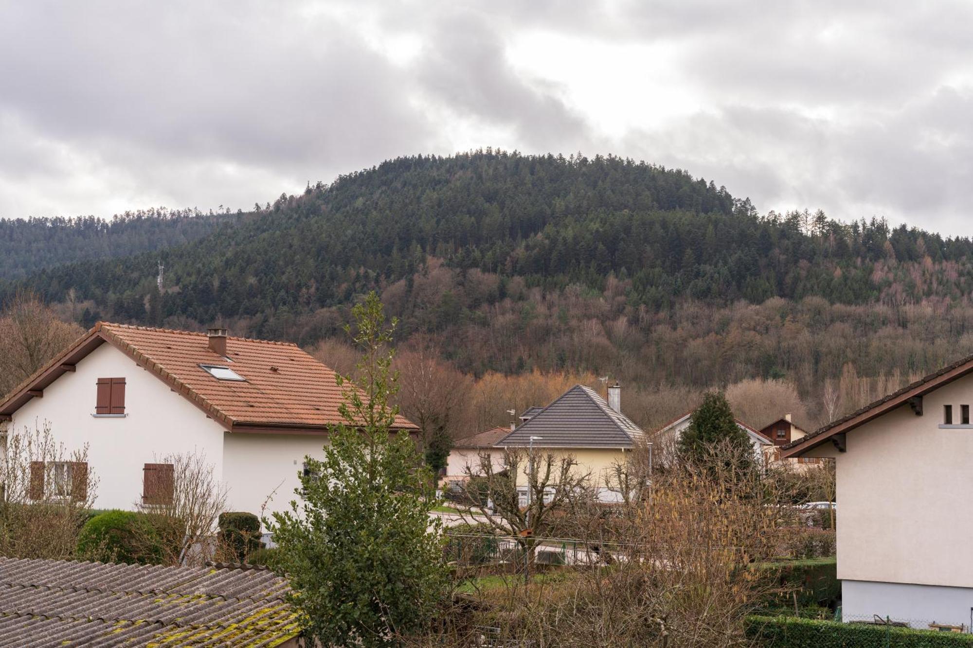 Vosgien Centre Die, Proche Montagnes Apartment